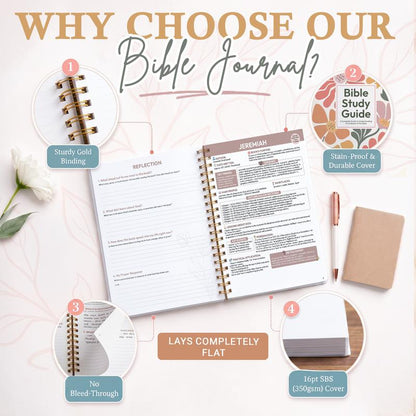 Bible Study Guide for Women & Men